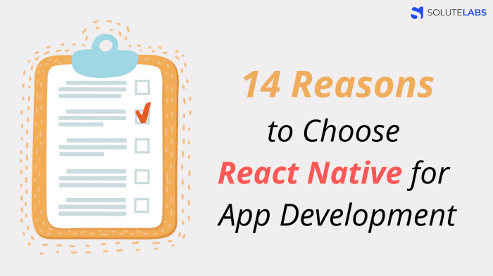  14 Reasons to Choose React Native for App Development